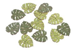 monstera listy samolepky (12 ks)