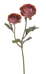 pryskyřník 50 cm - oranžová tmavší