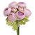 ranunculus svazek - starorůžová