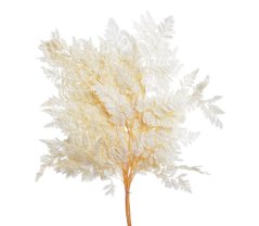 alpské kapradí preparované (10 ks) - bělené