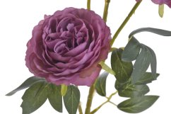 plnokvětá růže 65 cm - růžovofialová
