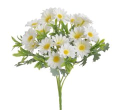 sedmikráska buket x5 - bílá