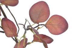 podzimní větvička eukalyptus - červená