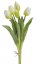 svazek tulipánů (5 ks) - bílozelená