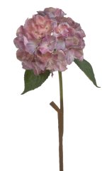 hortenzie 59 cm - růžová/fialová