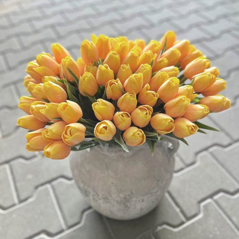 tulipán s listem (6 ks) - žloutková