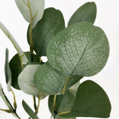 trs eukalyptus - zelenošedá