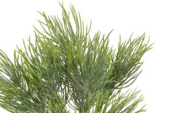 větvička trs jehličí 33 cm - namrzlá