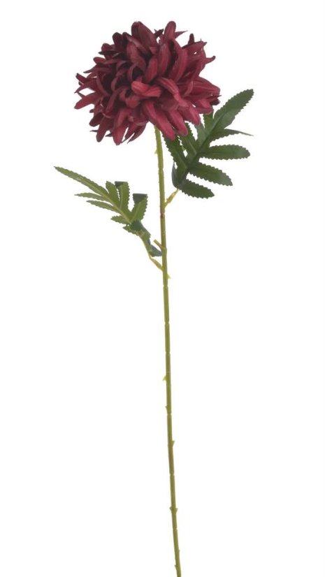 chryzantéma 50 cm - tmavá červená