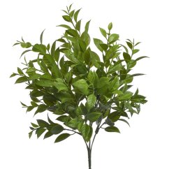 umělý ruscus - zelená