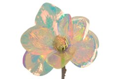 OPALIZZE magnólie 51 cm – iridescentní transparentní