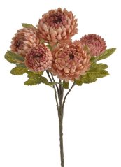 chryzantéma 46 cm - tmavá pudrová