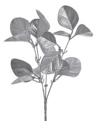 eukalyptus metalický  31 cm - stříbrná
