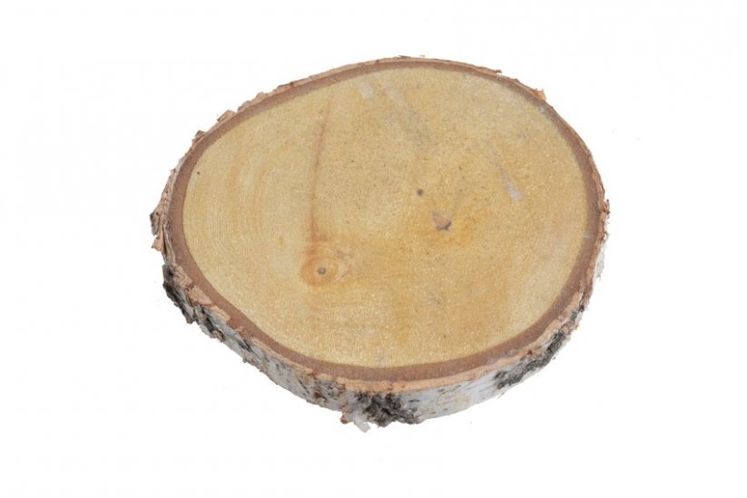 dřevěný plátek z břízy 15-16 cm