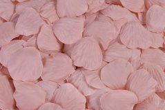 plátky růží (25 g) - pudrová růžová