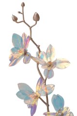 OPALIZZE orchidea 48 cm – iridescentná transparentná