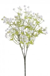 gypsophila s lístečky - bílá