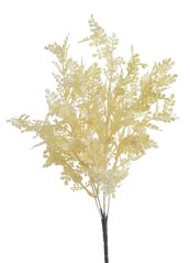 trs s malými lístky - krémová