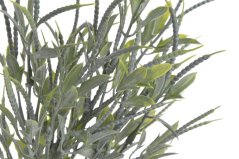 trs lístků s mini lusky - zelená