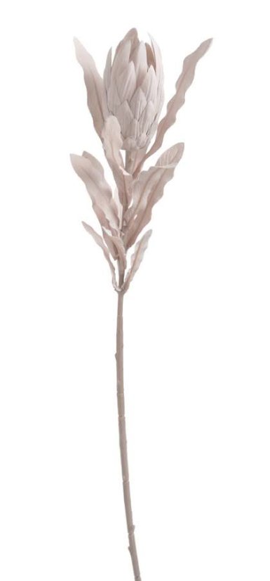 protea pastel - béžovorůžová