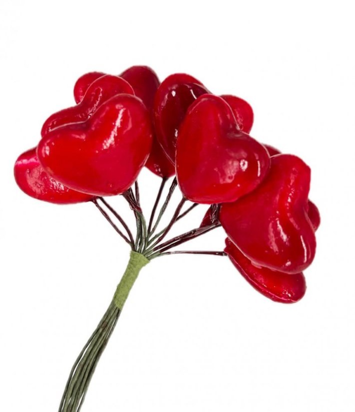 lakovaná srdíčka na drátku 12 ks - červená