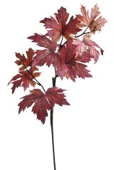 větev javoru 81 cm - vínová