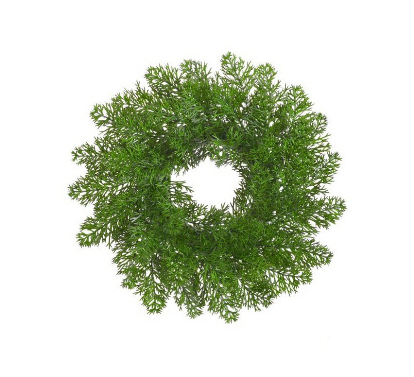 věneček túje 27 cm - zelený