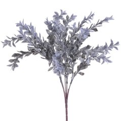 ruscus drobnolistý - modrošedý