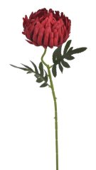 chryzantéma 50 cm - červená