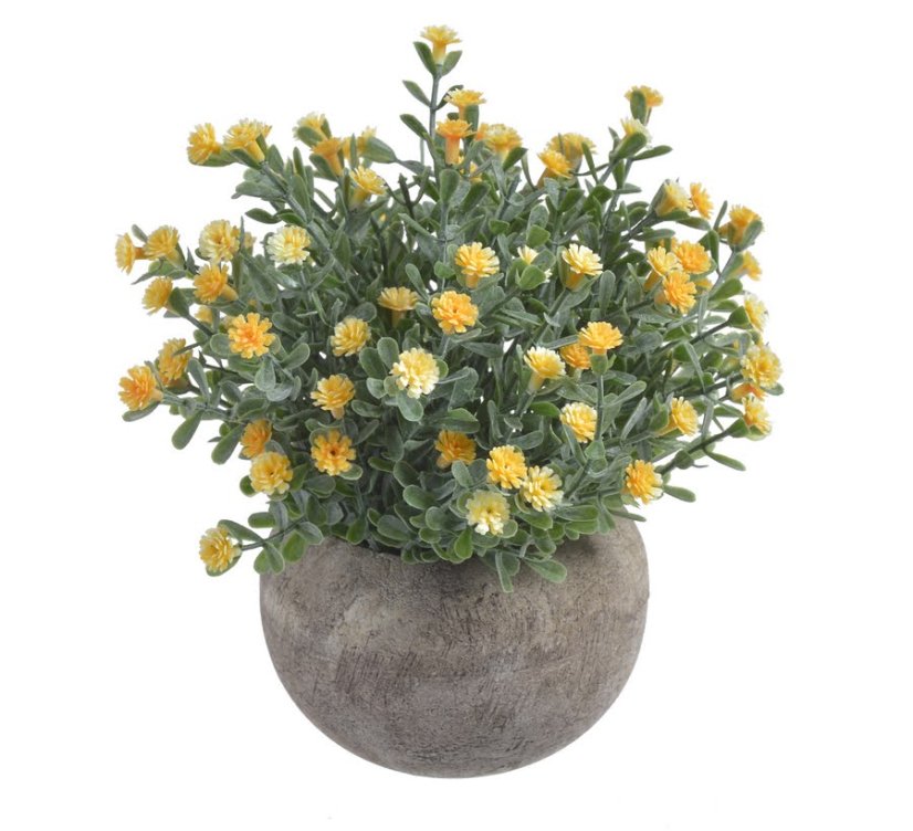 květinky v květináči