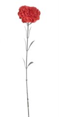 karafiát 60 cm - červená