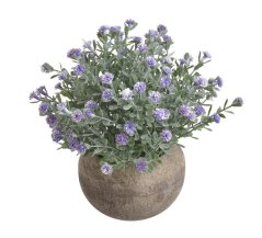květinky v květináči - fialová