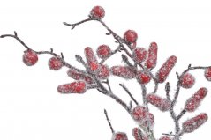 zimní větvička s podlouhlými bobulemi 36 cm - červená