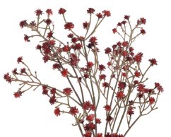 gypsophila 67 cm -  tm. červená