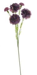 trsový karafiát 61 cm - tmavá fialová
