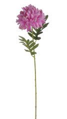 chryzantéma 51 cm - růžová