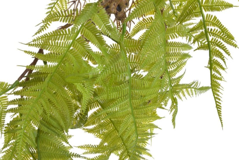 převislá kapradina 65 cm