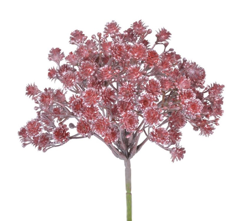 gypsophila 21 cm - červená