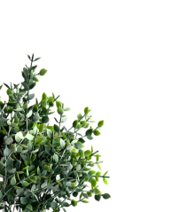 trs drobných lístků x5 - zelená