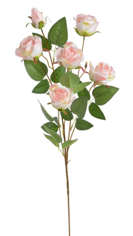 zahradní růže 79 cm - růžová