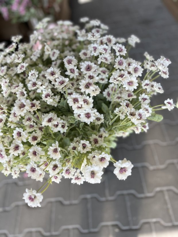 umělá kvetoucí rostlina Astra – bílá, 83 cm