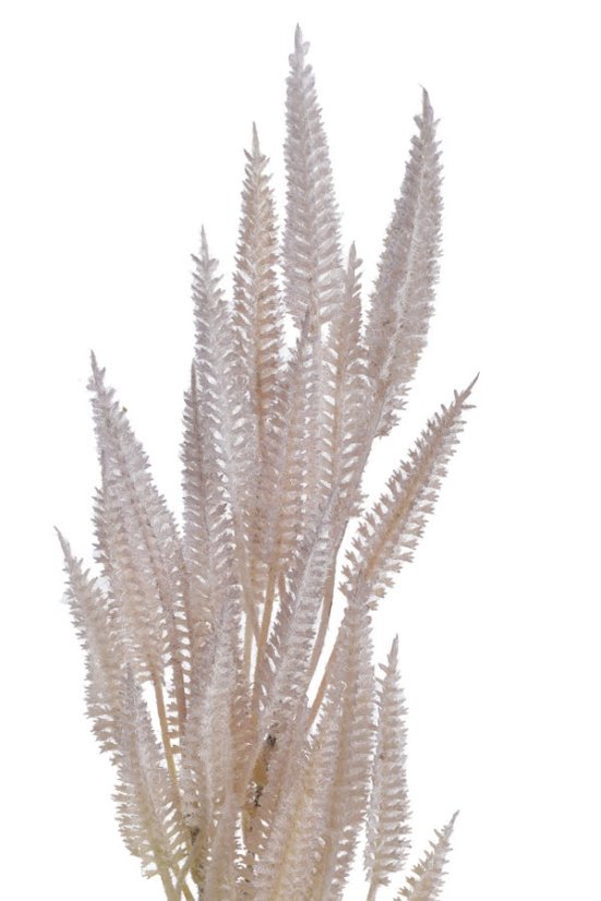 vřesovec větvička 57 cm - krémová s lila nádechem