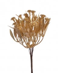 svazek gypsophila s lístky (6ks) - zlatá