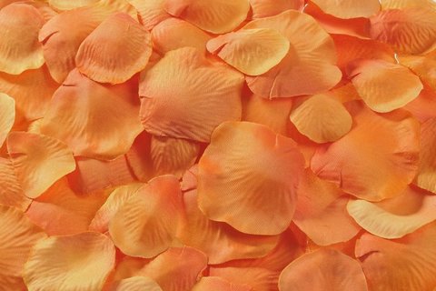 plátky růží 3-5 cm - oranžová