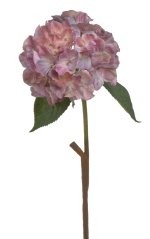 hortenzie 59 cm - růžová/fialová