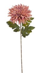 chryzantéma 72 cm - starorůžová/fialová žíhaná