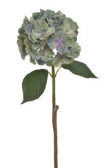 hortenzie 59 cm - zelená II