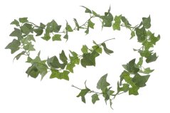 břečťan - girlanda 220 cm