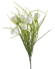 krokus 40 cm - bílá