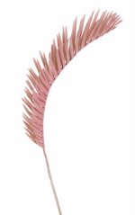 palmový list pastel - růžová vintage